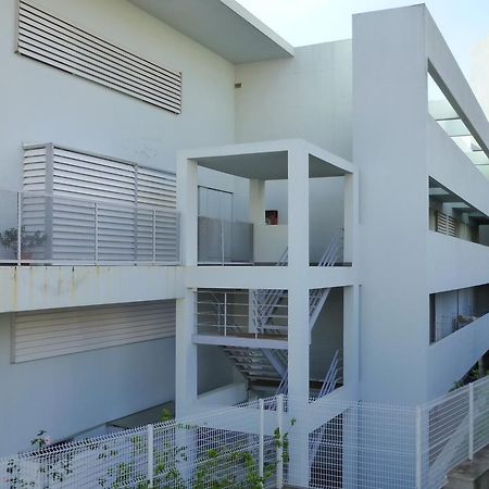 Shearwaternest 2 Apartment فونشال المظهر الخارجي الصورة